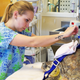 A TPN treatment is administered at the LMC veterinary clinic.Photo Credit: Loggerhead Marinelife Center